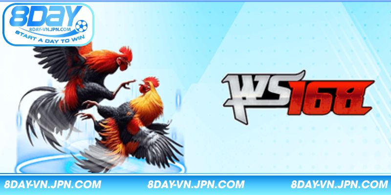 Giới thiệu về sảnh đá gà 8DAY hấp dẫn